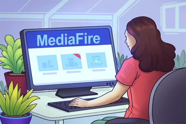 media fire 14