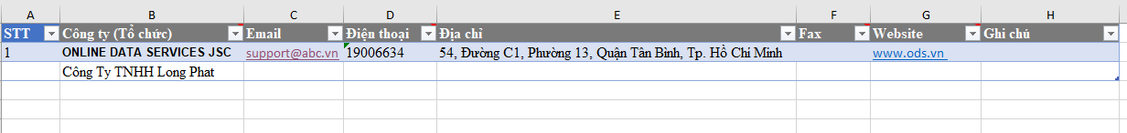 Điền thông tin Công ty / Tổ chức vào Excel.