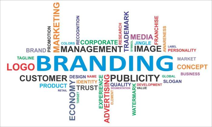 Email marketing là một phần trong kế hoạch branding