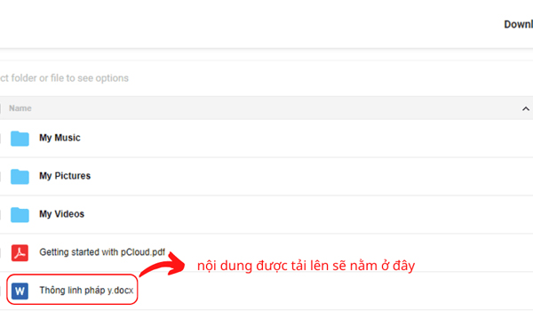 pcloud 8